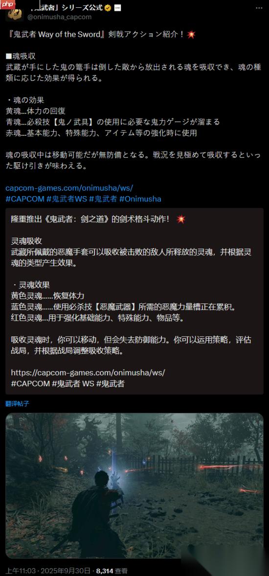 鬼武者 剑之道 机制介绍 杀敌吸魂回复