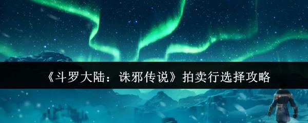 斗罗大陆：诛邪传说 拍卖行选择攻略