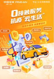 平安好车主app能干什么