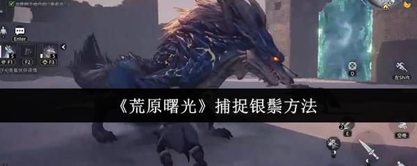 荒原曙光 捕捉银鬃方法