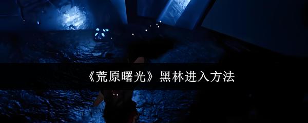 荒原曙光 黑林进入方法