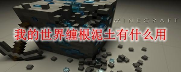 我的世界缠根泥土有什么用2025