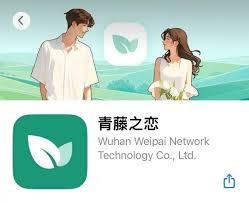 青藤之恋如何进行认证