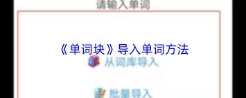 单词块如何导入单词