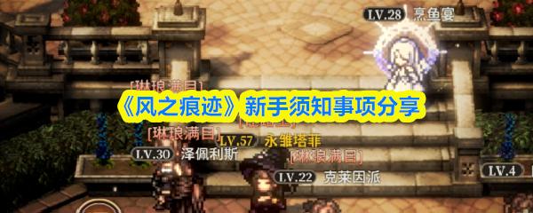 风之痕迹 新手须知事项分享