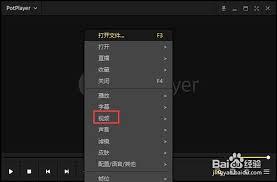 PotPlayer图像处理如何关闭旋转