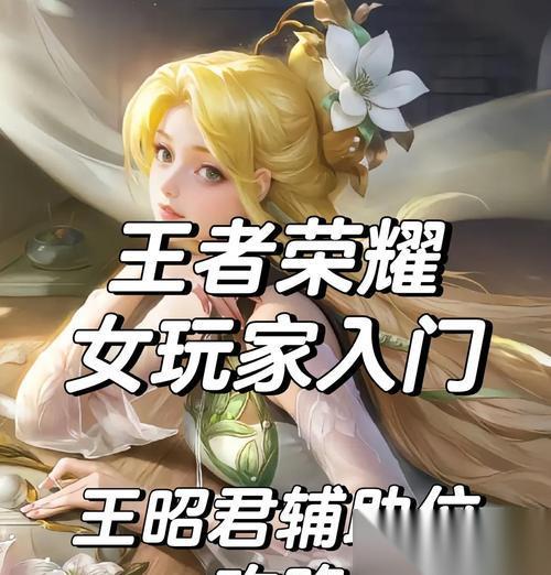 王昭君控制组合的玩法是什么 有什么技巧
