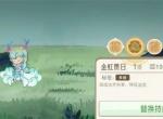 山海进化录神山十五打法攻略分享