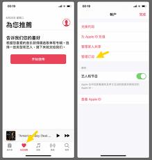 如何在Apple Music下载音乐