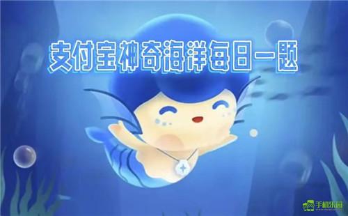蚂蚁森林神奇海洋2025年12月28日答案