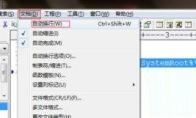 EditPlus怎么设置自动换行