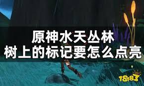 原神水天丛林怎么解密