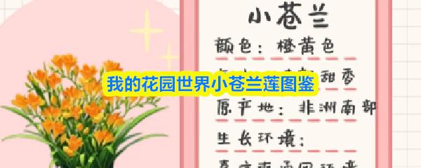 我的花园世界小苍兰莲图鉴