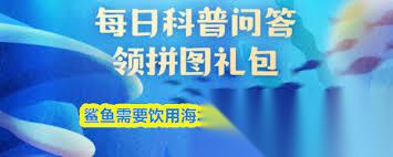 鲨鱼是否需要饮用海水补充水分