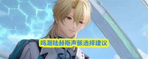 鸣潮陆赫斯声骸选择推荐 鸣潮陆赫斯声骸选择建议
