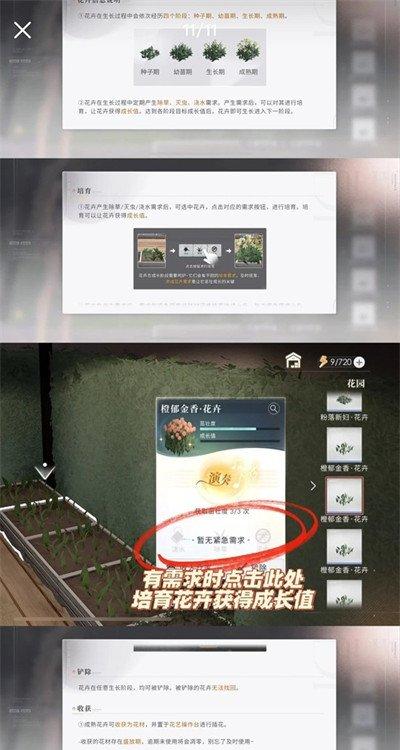 恋与深空家园与他一起朝夕相伴任务怎么做 家园与他一起朝夕相伴任务攻略