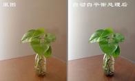 光影魔术手白平衡校正怎么用