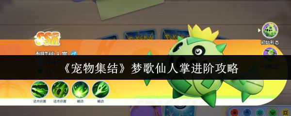 宠物集结 梦歌仙人掌进阶攻略