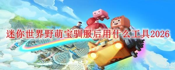 迷你世界野萌宝驯服后用什么工具2026