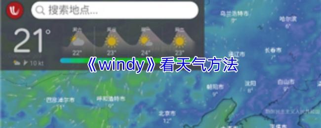 windy 看天气方法