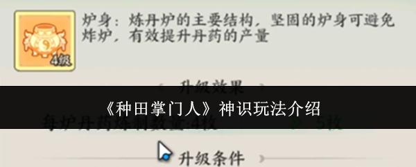 种田掌门人 神识玩法介绍