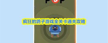 疯狂的鸽子第一关怎么过