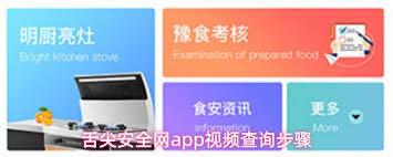 舌尖安全网app如何进行视频回放