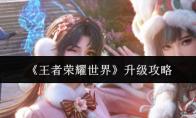 王者荣耀世界 升级攻略