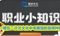 猜一猜在二次元文化中毛娘指的是哪种职业