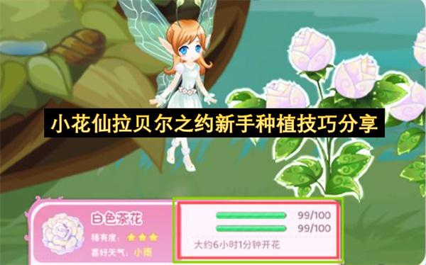 小花仙拉贝尔之约新手种植技巧分享