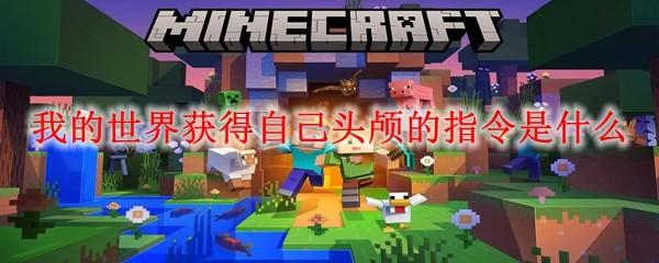 我的世界获得自己头颅的指令是什么