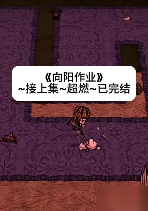 庇护之下的盐化 重量对属性的影响攻略 让你在游戏中轻松应对
