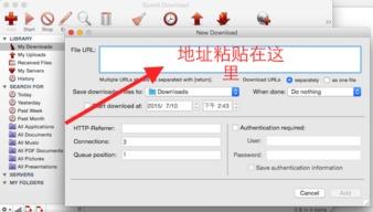 Mac最佳下载工具是Speed Download吗