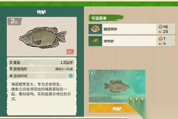 潜水员戴夫 丛林DLC全鱼类图鉴介绍