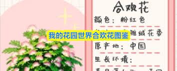 我的花园世界合欢花怎么样
