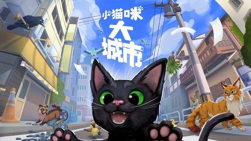 小猫咪大城市怎么和狗狗相处一起玩球