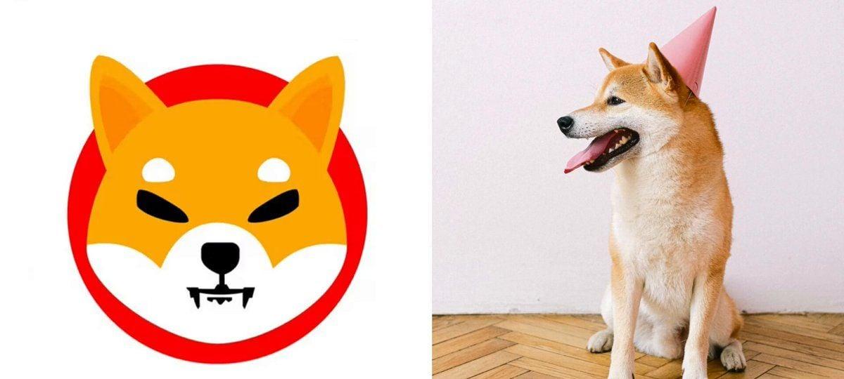 柴犬币携新势头逼近六年里程碑