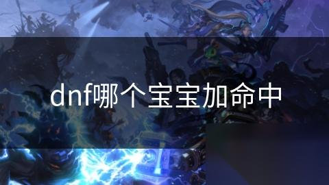 dnf哪个宝宝加命中