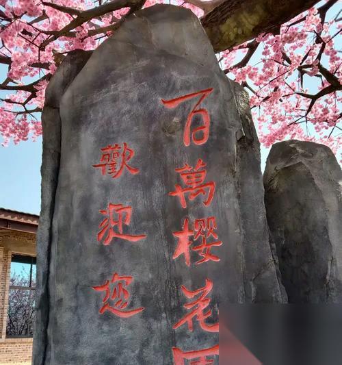以只狼常樱之花在哪里介绍樱花的绽放之美 探索游戏中的美丽樱花景观