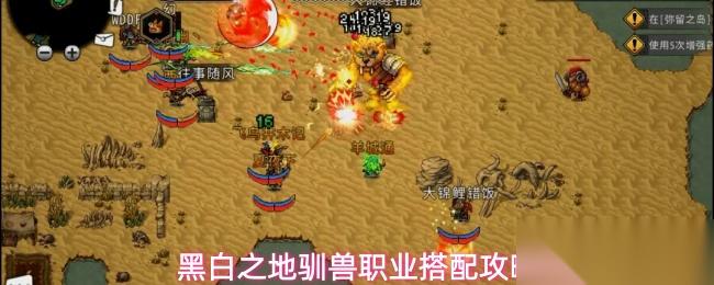 黑白之地驯兽职业玩法驯兽职业搭配攻略